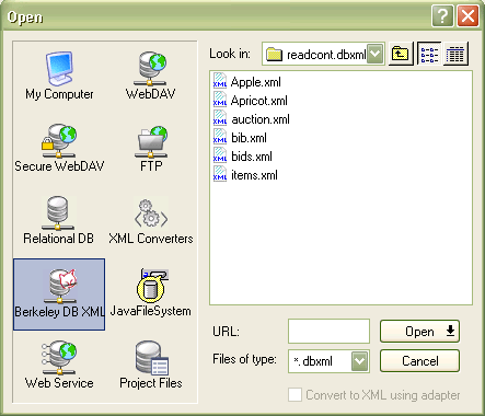 Loading XML Data Sources from Berkeley DB XML into Stylus Studio®