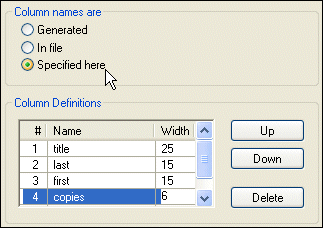 Specify your own column names, or let Stylus Studio&reg; generate them for you